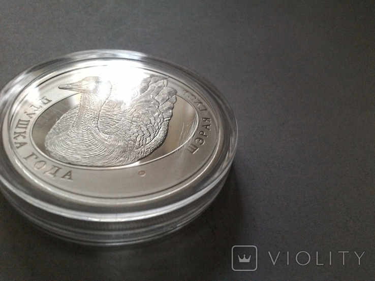 Беларусь 10 рублей 2009 (Птица года. Серый гусь) / серебро, фото №4