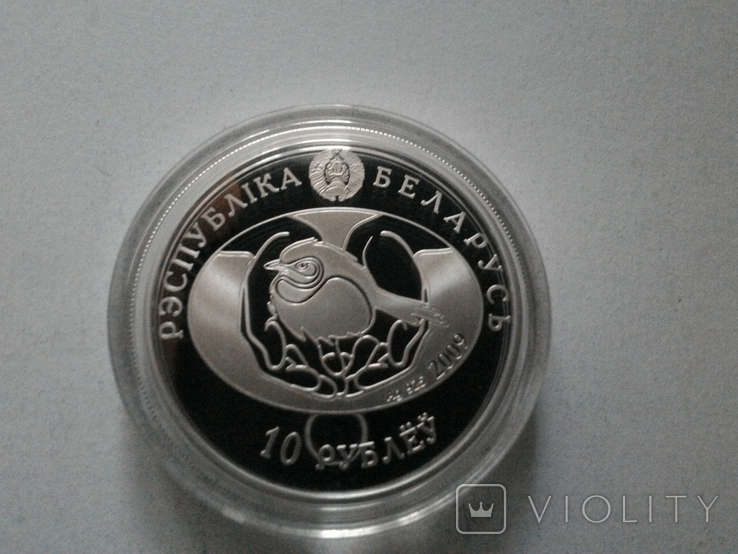 Беларусь 10 рублей 2009 (Птица года. Серый гусь) / серебро, фото №5