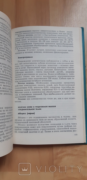 Болезни собак и кошек 1984, фото №5