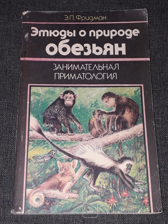 Э. П. Фридман - Этюды о природе обезьян 1991 год, фото №2