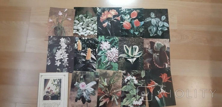 Набор открыток Комнатные растения (без 1шт), фото №2