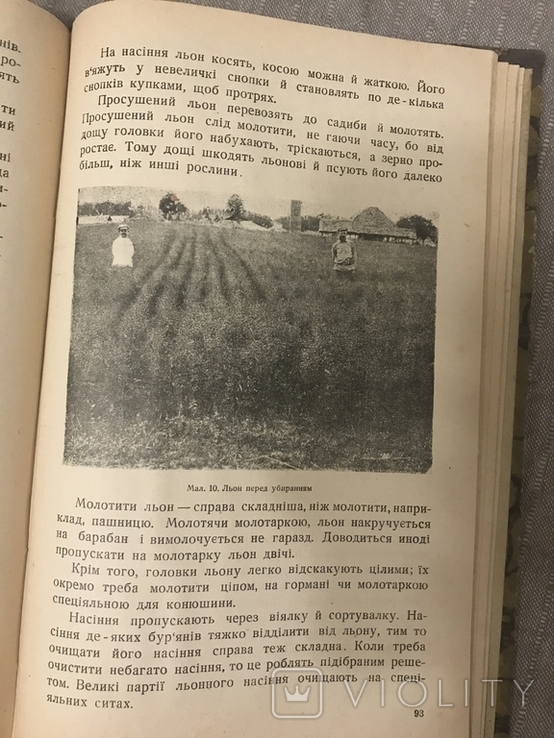 Мак Коноплі Рапс 1928 Українське видання Олійні рослини, фото №9