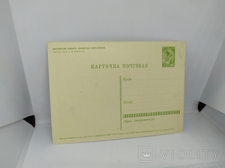 Листівка з позначкою 1963 року Московський зоопарк. Папуга. Чистий, фото №3
