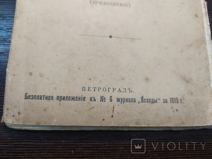 1915 Бібліотека проростання 6. Герсон-Домбровська. Великі художники, фото №8