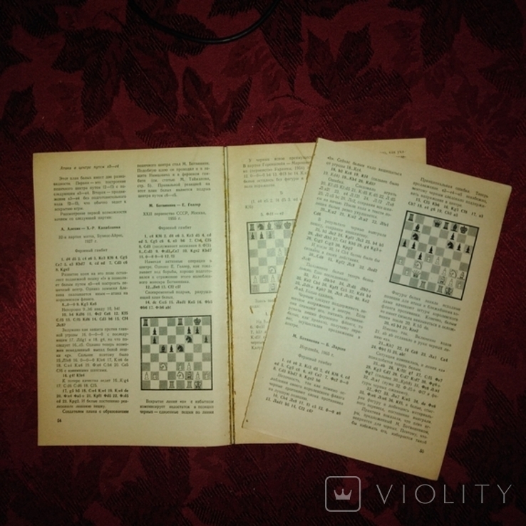 Я. Б. Эстрина "Теория и практика шахматной игиы" 1981 года., фото №5