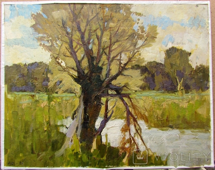 "Старе дерево"  Cербутовский А.А.  22.5*28,5 см, фото №2