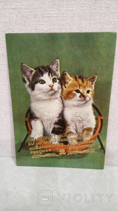 Открытка с котами и позолоченная надпись, фото №2
