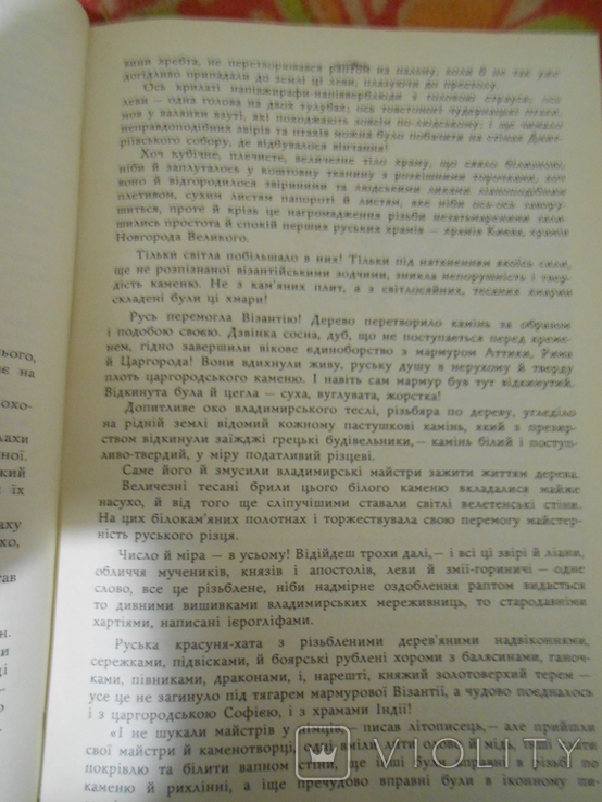 Олексій Югов.Олександр Невський, фото №5