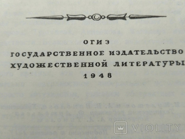 Белинский в воспоминаниях современников, фото №12