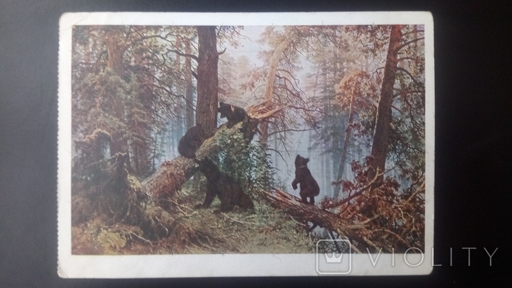 Поштова карточка "Утро в сосновом лесу" Шишкин И.И. ГОЗНАК 1928р., фото №2