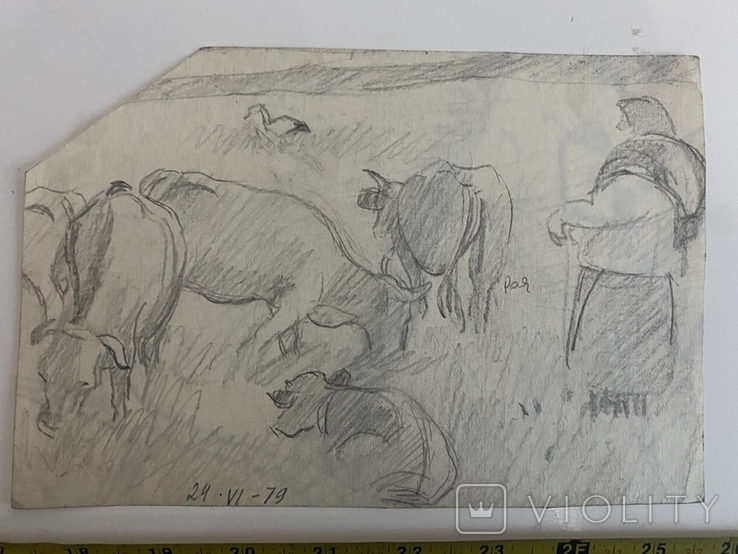 Женщина пасёт коров, фото №2