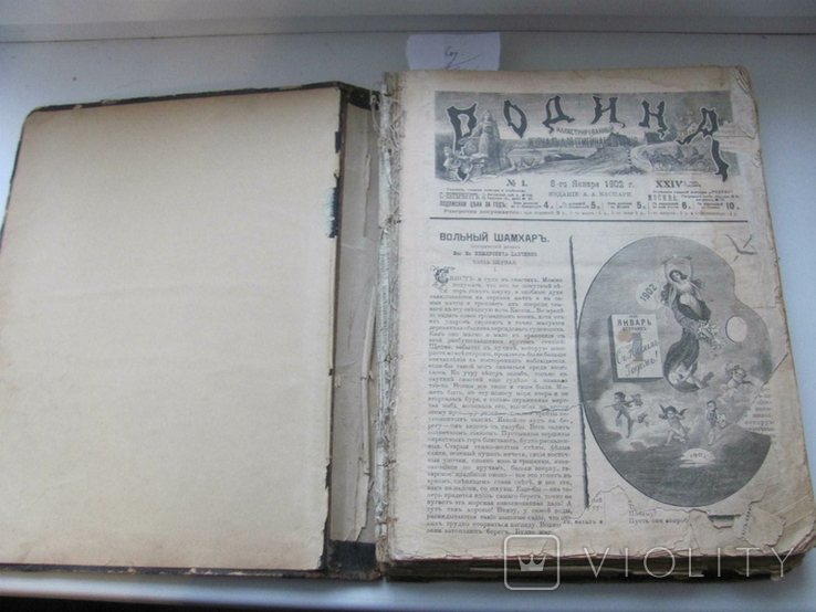 Родина. Комплект за полгода 1902 год. №№ 1 - 26., фото №6