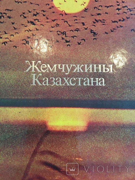 Жемчужины Казахстана 1983год Альбом-книга, фото №13