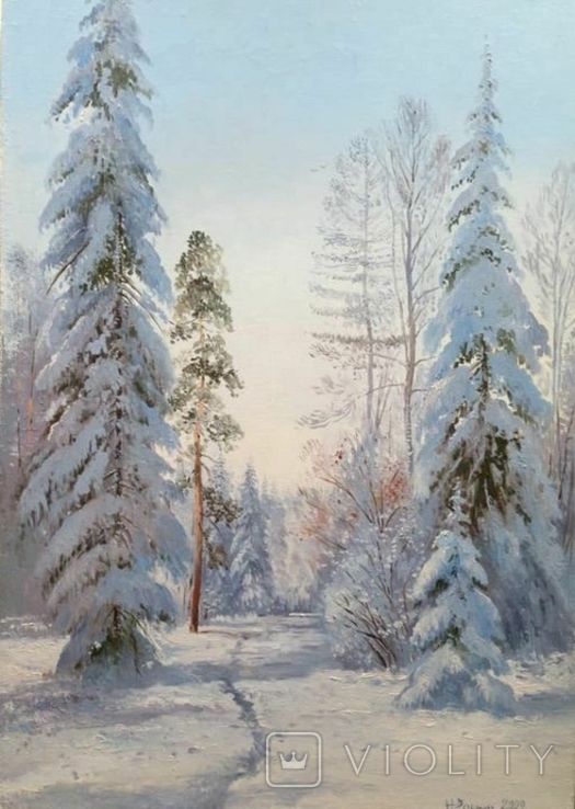 Зимний день, окрестности Киржача