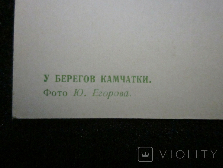 Открытки СССР из серии Камчатка. 1969г. 2 шт., фото №6