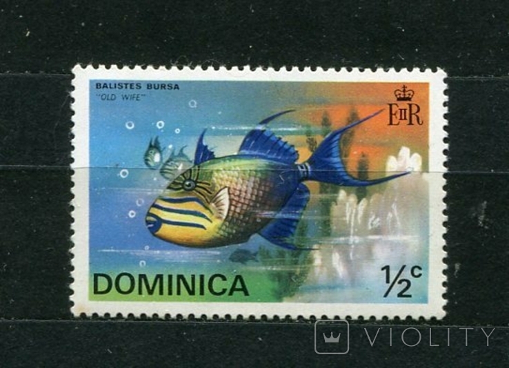 Доминика, морская фауна. MNH. 1975 г.