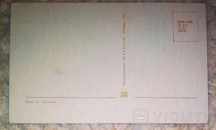 Торг Раскин новогодняя открытка СССР 1971 Москва Планета чистая, фото №3