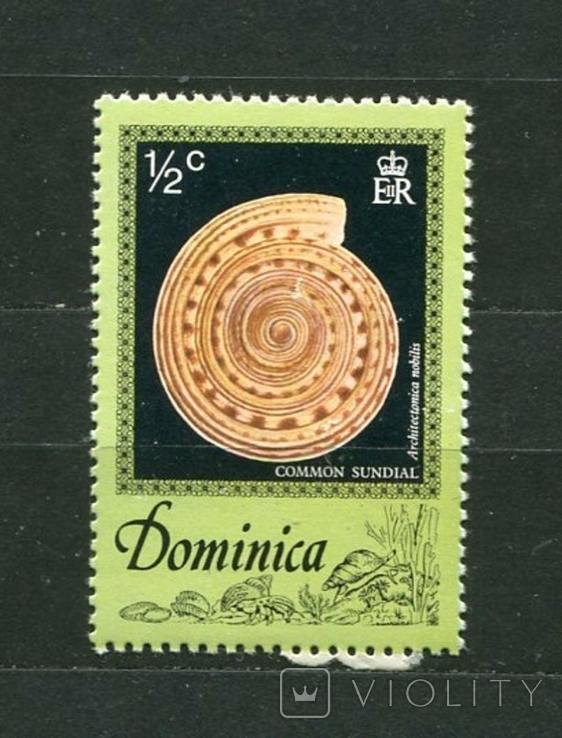 Британские колонии, Доминика, ракушка. 1976 г. MNH