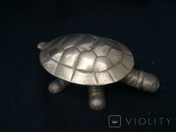 Черепаха-шкатулка, фото №2