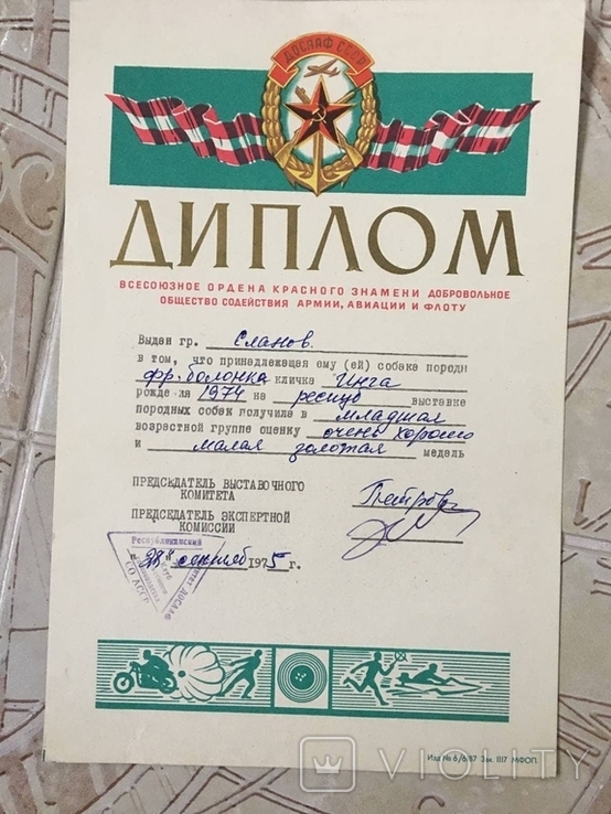 Диплом 1975г выдан хозяину собаки СССР, фото №3
