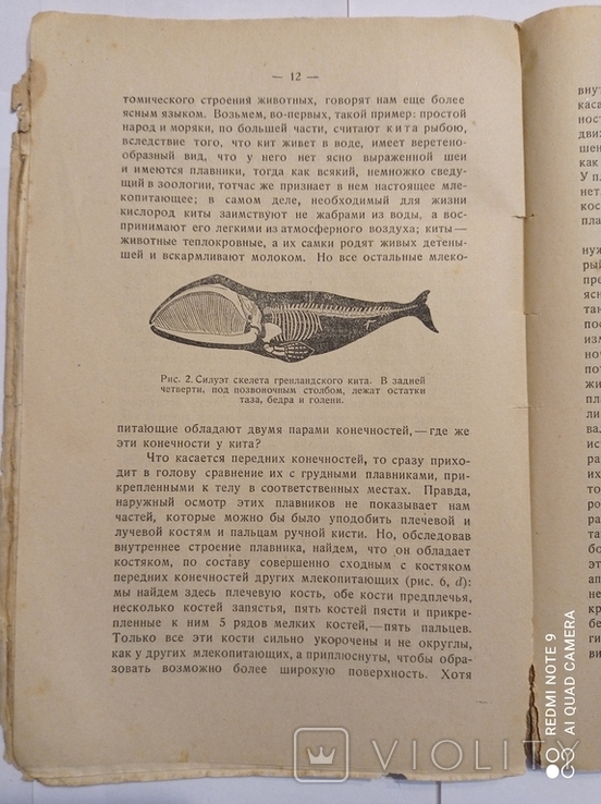 Рихард Гессе, "Учение о происхождении видов и Дарвинизм", 1924 г., фото №10