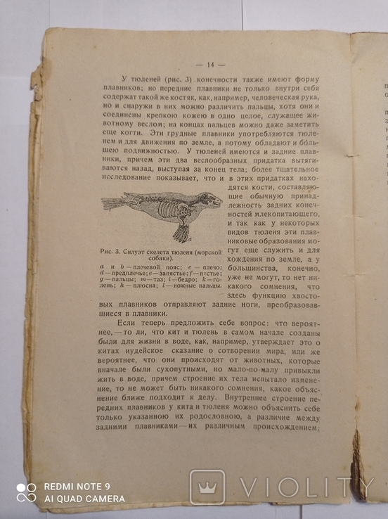 Рихард Гессе, "Учение о происхождении видов и Дарвинизм", 1924 г., фото №11