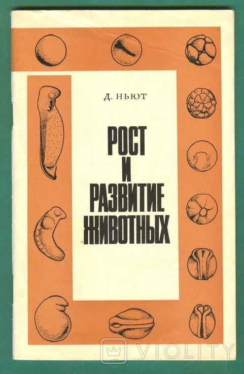 1973 Д.Ньют Рост и развитие животных, фото №2