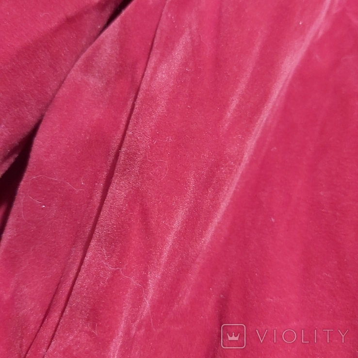 Velour tailcoat, photo number 10