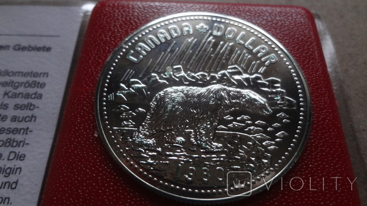 1 доллар 1980  Канада Белый медведь  Сертификат серебро, фото №4