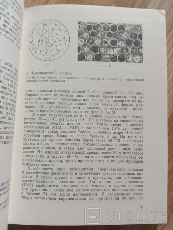 Пчелы. Справочник по болезням и вредителям пчел., фото №3