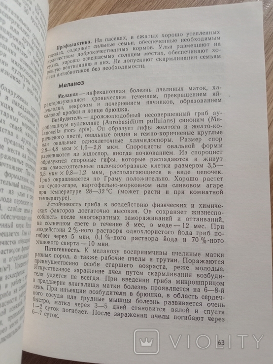 Пчелы. Справочник по болезням и вредителям пчел., фото №6