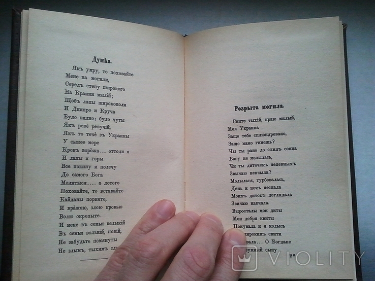 Стихотворения Пушкина и Шавченки. Репринт с издания 1859 г., фото №8