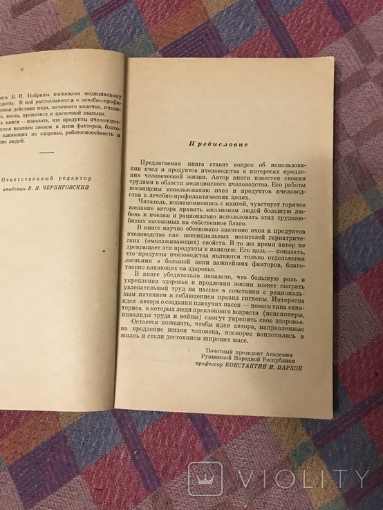 Пчелы и фармацевтика, фото №4