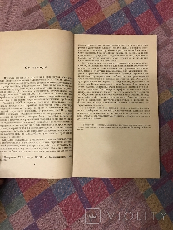 Пчелы и фармацевтика, фото №5