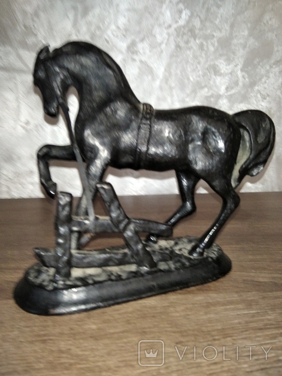 Лошадь на привязи, фото №4