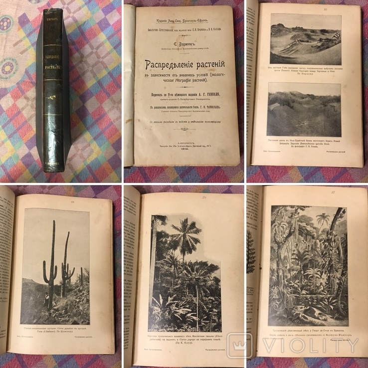 Распределение растений - 1902г Е. Вармингь