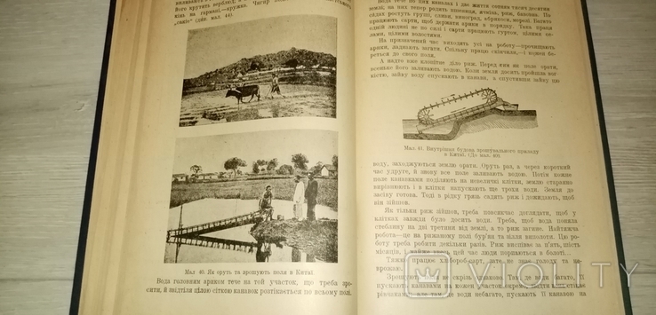 З історії хліборобської культури 1926 р.- карта, фото №10