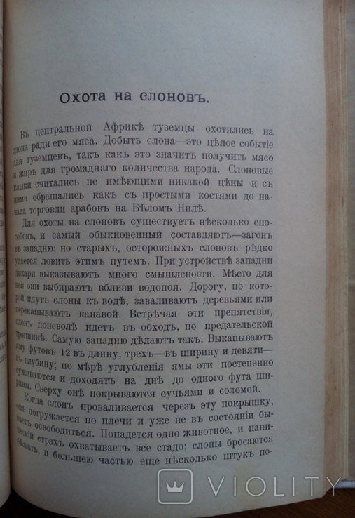 Африка 1909 г. Путешествия охота с иллюстрациями, фото №10