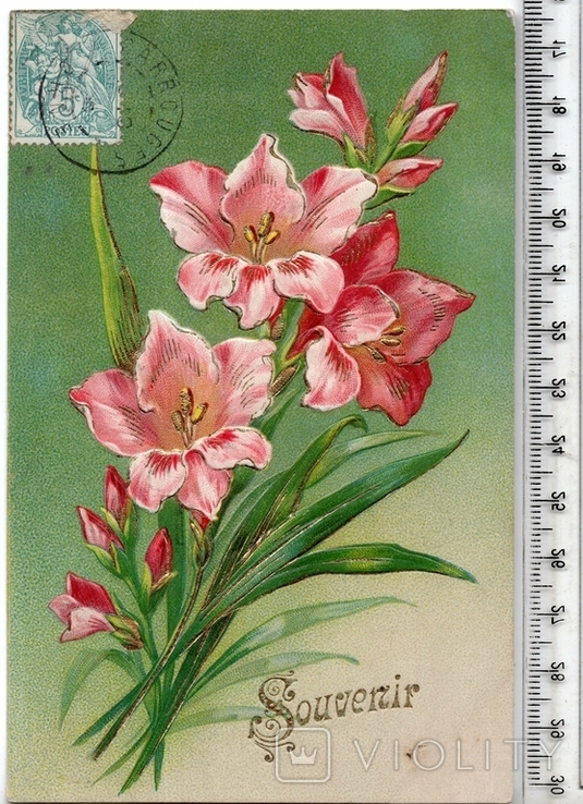 Старинная открытка. 1909 год. Разное.(3)