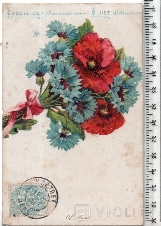 Старинная открытка. 1905 год. Разное.(3)
