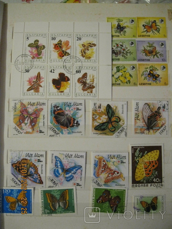 Коллекция марок на тему "Фауна", 2 альбома, около 1500 штук, фото №3