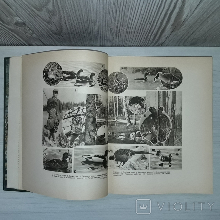 Настольная книга охотника-спортсмена 1956 Том 2, фото №9