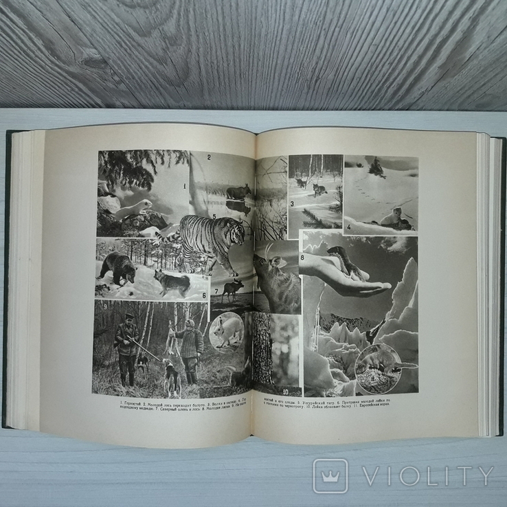 Настольная книга охотника-спортсмена 1956 Том 2, фото №13