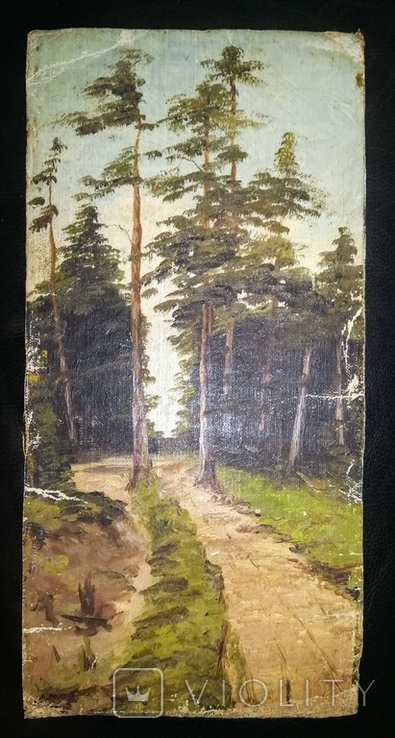 Картина " Сосновый лес " 19 век.