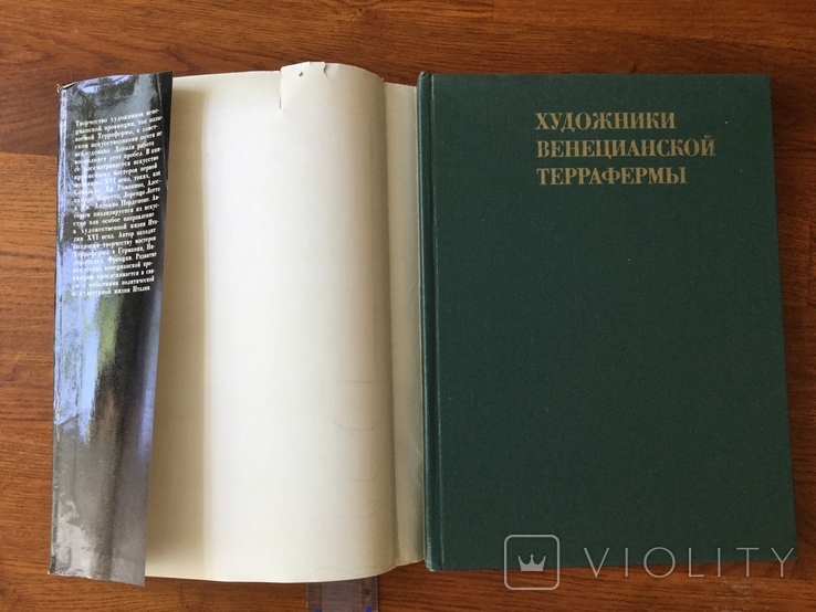 Книга по искусству СССР 1978 г художники венецианской террафермы, фото №3