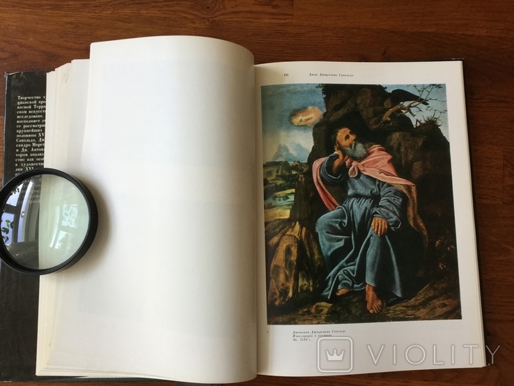Книга по искусству СССР 1978 г художники венецианской террафермы, фото №5