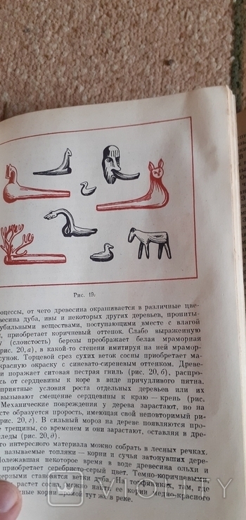 2 книги для дітей, російською мовою., фото №5