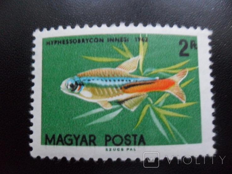 Fauna of the sea. Hungary. Fishy. MLH