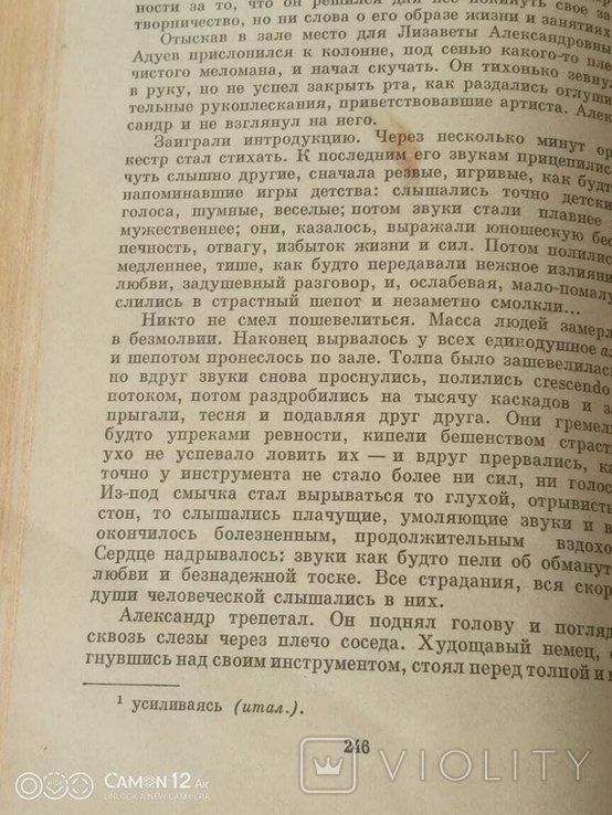 І.А. Гончаров. Звичайна історія, фото №12