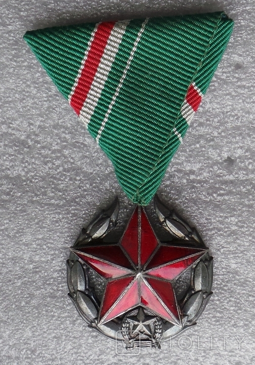 Венгрия медаль общественная безопасность серебряной степени для погранвойск